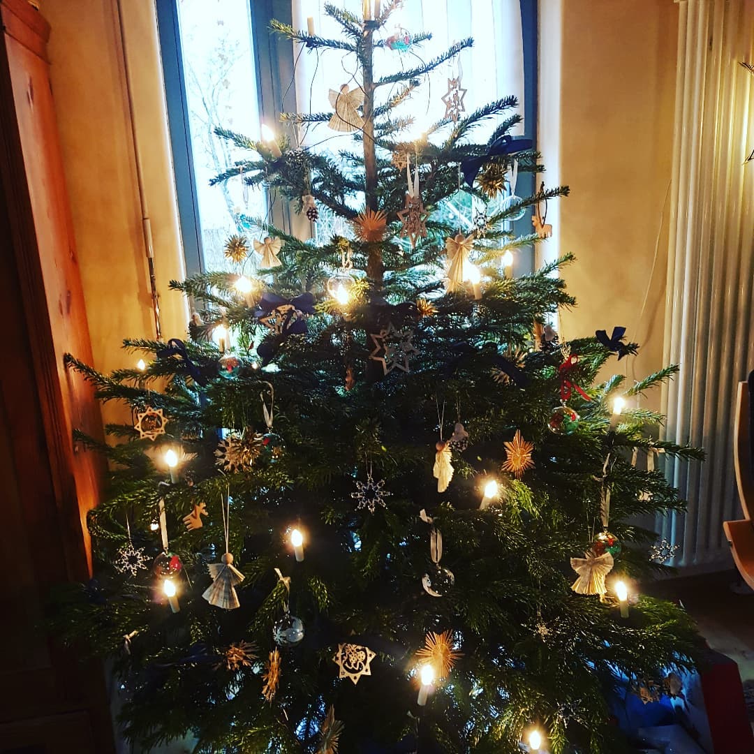 Liebe #bookies📚🥰 

Wir wünschen euch frohe Weihnachten, schöne Feiertage mit der Familie und euren Liebsten, leckerem Essen und vielen Geschenken!🎁🎄☃️

#bookstagram #BookstagramGermany #leseliebe #christmas #weihnachten #christbaum
