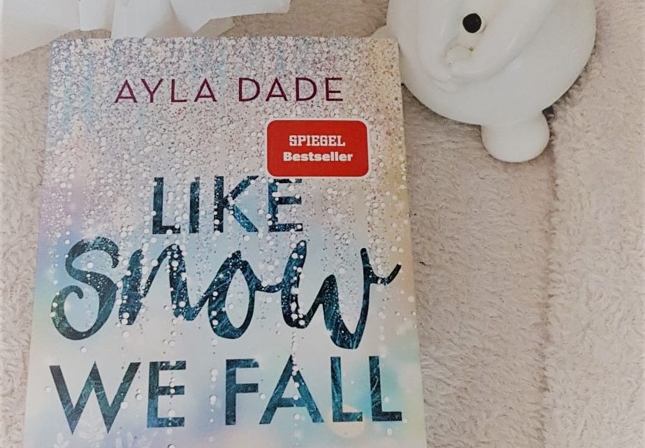 [Rezensionsexemplar] Like Snow we fall – Ayda Dade